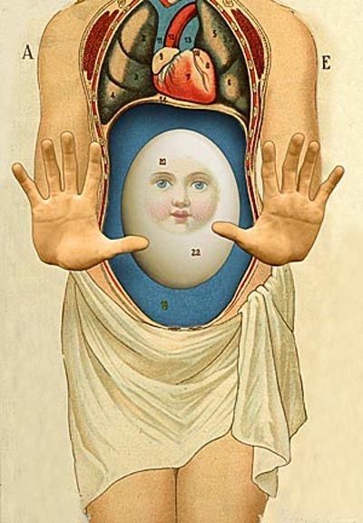 Alternatives to Progesterone